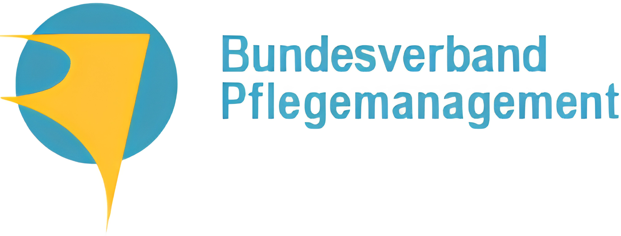  <span class="lte-header lte-h6"> BV Pflegemanagement<br />
<br />
 </span> 